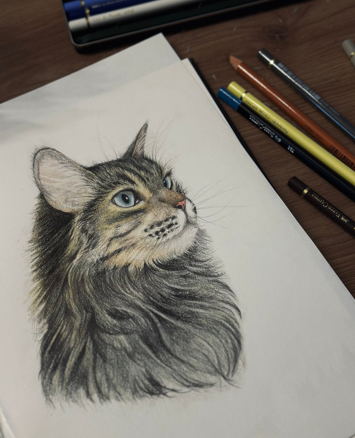 PORTRAIT CHAT