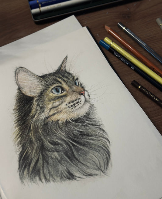 PORTRAIT CHAT